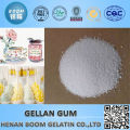 Wholesale free sample gellan gum industrial grade for white sugar